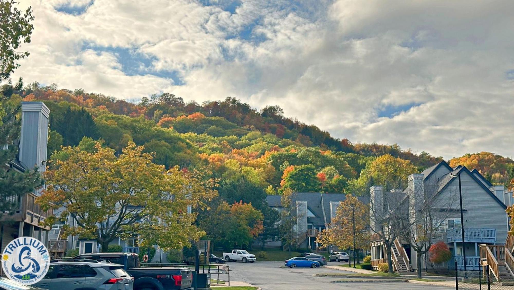 Blue Mountain At Your Door Step Blue Mountains Exterior photo